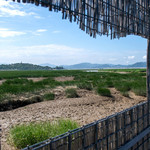 闽江河口国家湿地公园