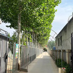 花语神兽生态农场