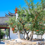 淮北四季榴园景区