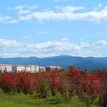 文笔峰公园