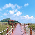 红树林公园