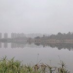 垫江牡丹湖湿地公园