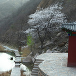 秋山风景区