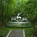 溪口杜鹃谷森林公园