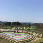 漫花谷