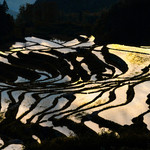 高要梯田
