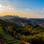 军营村