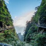 西海岸