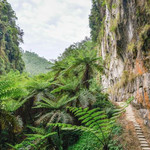 桫椤峡谷