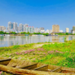江南沅江风光带