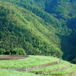 液态熊象山露营地