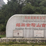千年香榧林景区