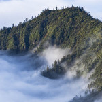 四人同山