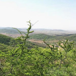 马耳山生态旅游区