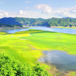绿江村