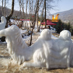 白桦林景区