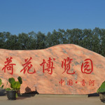 香河荷花博览园