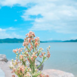 沙龙沙滩