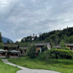 藏茶村