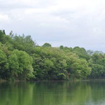 木鱼岛