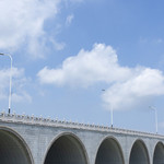 长田漾湿地公园