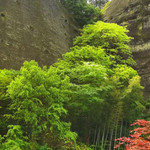 象牙山旅游景区