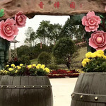 黄梅香樟园