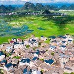 会仙湿地