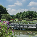 东莞植物园