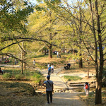 大桐木湾村