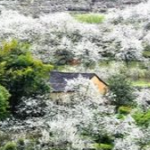七里坪景区