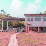 竹泉岛