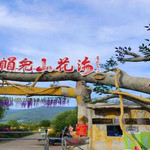 帽儿山花海