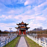 安龙招提景区
