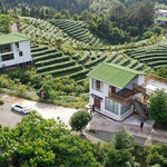 铁长茶山竹海