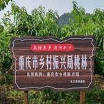 花语果乡采摘园