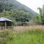 梨花沟风景区