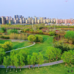 东营植物园