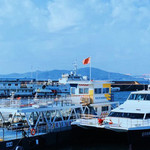 青岛海上观光