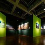 国家地理经典影像大展-合肥站