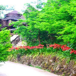 七彩熊家沟风景区