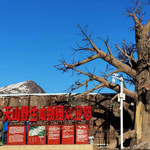 新疆天山野生动物园