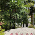 宝深逸乐园