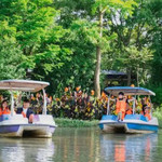 神龙湾森林