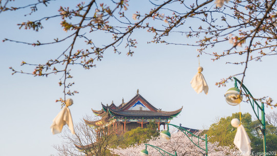 晴川阁门票