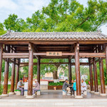 梅河口市长白山植物园