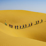 恩格贝生态旅游区