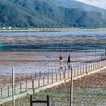 黄避岙·滩涂乐园