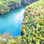 石塘竹海