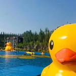 大黄鸭嘻嘻嘻水上乐园